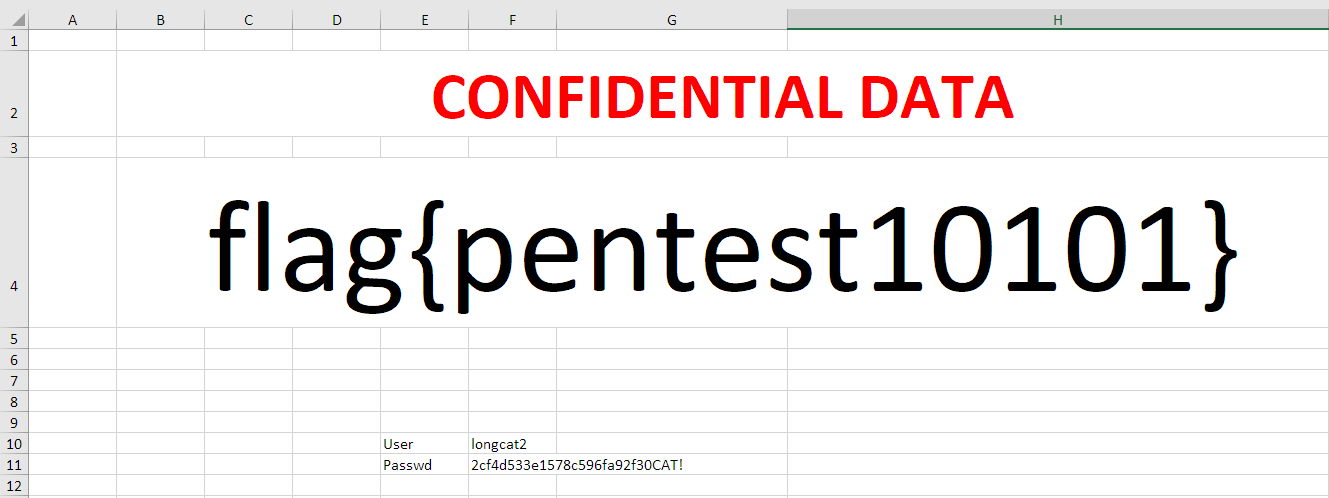 Excel file containing the flag